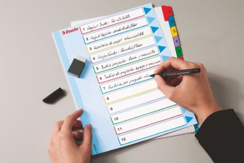 Przekładka numeryczna Esselte MYLAR A4 mix kolorów 160g 12k 1-12 (100209) Przekładka numeryczna Esselte MYLAR A4 mix kolorów 160g 12k 1-12 (100209)