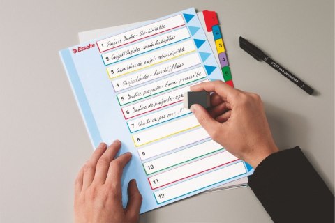Przekładka numeryczna Esselte MYLAR A4 mix kolorów 160g 12k 1-12 (100209) Przekładka numeryczna Esselte MYLAR A4 mix kolorów 160g 12k 1-12 (100209)
