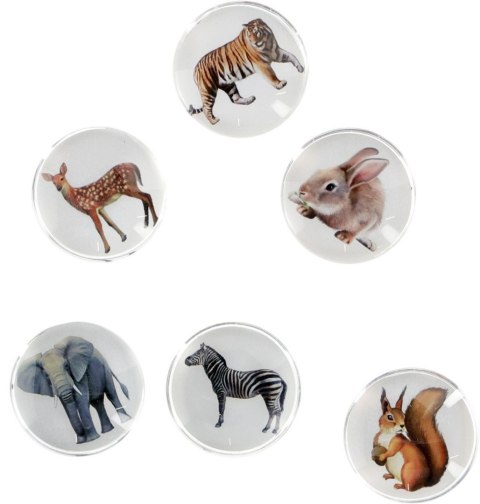 Magnes Fun&Joy ZWIERZĘTA okrągły mix śr. 30mm 6 sztuk Magnes Fun&Joy ZWIERZĘTA okrągły mix śr. 30mm 6 sztuk