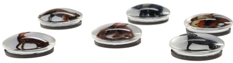 Magnes Fun&Joy ZWIERZĘTA okrągły mix śr. 30mm 6 sztuk Magnes Fun&Joy ZWIERZĘTA okrągły mix śr. 30mm 6 sztuk