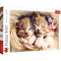 Puzzle Trefl Śpiące kotki 500 el. (37271) Puzzle Trefl Śpiące kotki 500 el. (37271)
