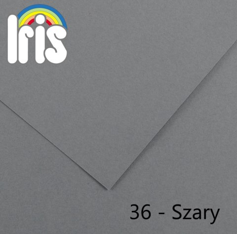 Brystol Iris 36 A3 szary 185g 50k [mm:] 297x420 Canson (200040215)