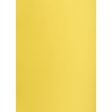 Brystol żółty B1 żółty 225g 1k Creatinio (400150264)