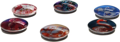 Magnes Fun&Joy FLAMINGI okrągły mix śr. 30mm 6 sztuk Magnes Fun&Joy FLAMINGI okrągły mix śr. 30mm 6 sztuk