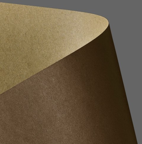 Papier ozdobny (wizytówkowy) Galeria Papieru kraft brązowy A4 brązowy 275g (204418) Papier ozdobny (wizytówkowy) Galeria Papieru kraft brązowy A4 brązowy 275g (204418)