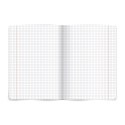 Zeszyt TOP-2000 fizyka A5 60k. 80g krata [mm:] 150x210 (400160589)