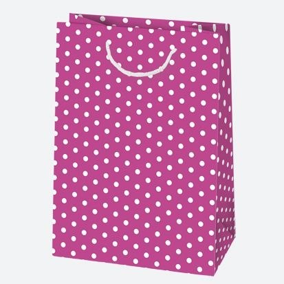 Torba prezentowa [mm:] 230x320x 110 Pol-mak (T5)