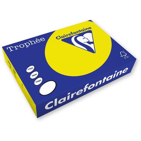 Papier kolorowy Trophee kolorowy A4 słoneczny 160g (xca41029) Papier kolorowy Trophee kolorowy A4 słoneczny 160g (xca41029)