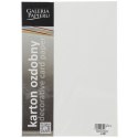 Papier ozdobny (wizytówkowy) Galeria Papieru pacific biały A4 biały 200g (204001) Papier ozdobny (wizytówkowy) Galeria Papieru pacific biały A4 biały 200g (204001)