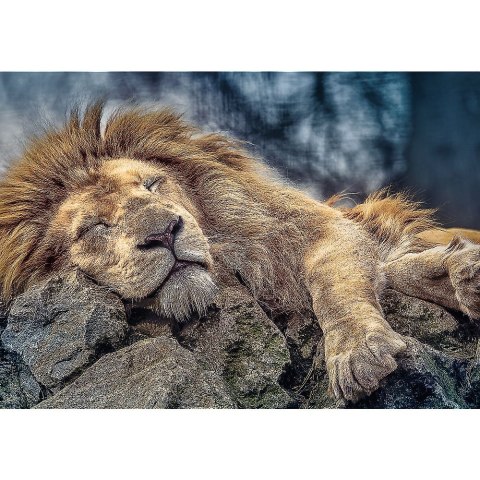 Puzzle Trefl Śpiący lew 1000 el. (10447) Puzzle Trefl Śpiący lew 1000 el. (10447)