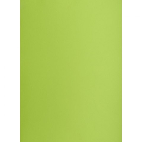 Brystol Creatinio zielony jasny B1 zielony jasny 225g 1k (400150267) Brystol Creatinio zielony jasny B1 zielony jasny 225g 1k (400150267)