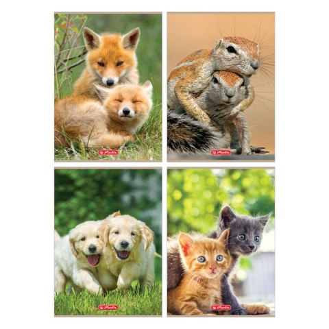 Zeszyt Herlitz Animals 9583089 A4 32k. 70g krata (400197964) Zeszyt Herlitz Animals 9583089 A4 32k. 70g krata (400197964)