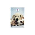 Notes Beniamin The Sweet Pets A6 30k. poddruk (2505) Notes Beniamin The Sweet Pets A6 30k. poddruk (2505)