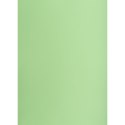 Brystol Creatinio groszkowy B1 groszkowy 225g 1k (400150266) Brystol Creatinio groszkowy B1 groszkowy 225g 1k (400150266)