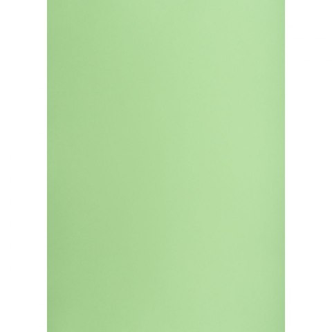 Brystol Creatinio groszkowy B1 groszkowy 225g 1k (400150266) Brystol Creatinio groszkowy B1 groszkowy 225g 1k (400150266)