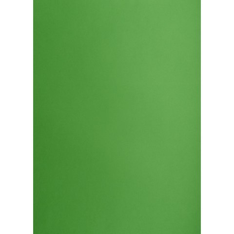 Brystol Creatinio zielony B1 Zielony 225g 1k (400150268) Brystol Creatinio zielony B1 Zielony 225g 1k (400150268)