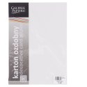 Papier ozdobny (wizytówkowy) Galeria Papieru sukno A4 biały 180g (204101) Papier ozdobny (wizytówkowy) Galeria Papieru sukno A4 biały 180g (204101)