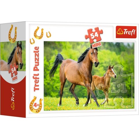 Puzzle Trefl Świat Koni 54 el. (54193) Puzzle Trefl Świat Koni 54 el. (54193)