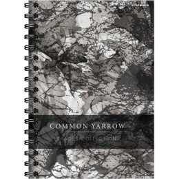 Kołozeszyt (kołobrulion) TOP-2000 SHADES B5 120k. 70g krata [mm:] 170x250 (400158939)