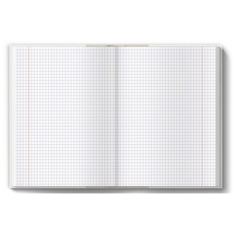 Brulion tematyczny fizyka A5 80k. 70g krata [mm:] 150x210 TOP-2000 (400160623)