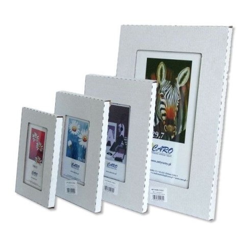 Antyrama plexi plexi [mm:] 300x450 Raw-West