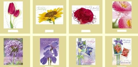 Kartka składana specjal B6 Pan Dragon (B6)