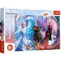 Puzzle Trefl Frozen kraina przyjażni 100 el. (16366) Puzzle Trefl Frozen kraina przyjażni 100 el. (16366)