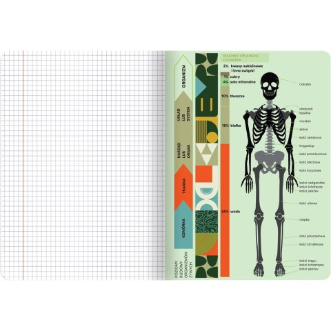 Zeszyt TOP-2000 biologia A5 60k. 70g krata (400169460) Zeszyt TOP-2000 biologia A5 60k. 70g krata (400169460)