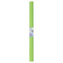 Bibuła marszczona TOP-2000 jasnozielony 20mm x 500mm (400153920) Bibuła marszczona TOP-2000 jasnozielony 20mm x 500mm (400153920)