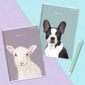 Zeszyt Top 2000 SWEET ANIMAL 400169465 A5 60k. 70g linia Zeszyt Top 2000 SWEET ANIMAL 400169465 A5 60k. 70g linia