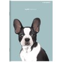 Zeszyt Top 2000 SWEET ANIMAL 400169466 A5 80k. 70g krata Zeszyt Top 2000 SWEET ANIMAL 400169466 A5 80k. 70g krata