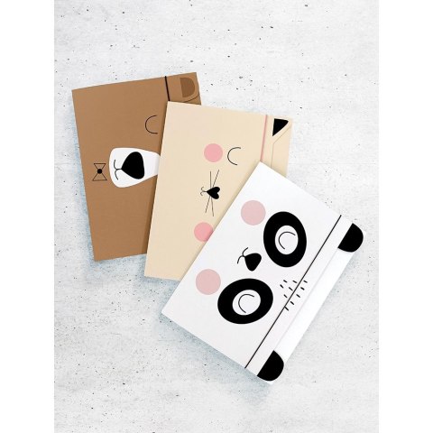 Teczka kartonowa na gumkę z gumką 5902277314574 A4 mix Beppe Teczka kartonowa na gumkę z gumką 5902277314574 A4 mix Beppe