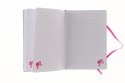 Notes Paso Barbie (BAF-3680) Notes Paso Barbie (BAF-3680)