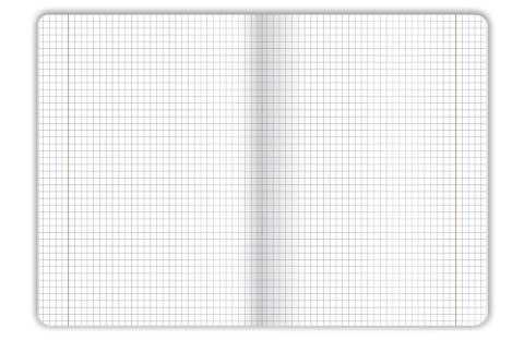 Zeszyt SPACE ADVENTURE A5 32k. 70g krata Top 2000 (400182344)