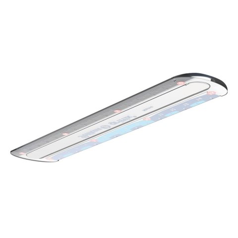 Linijka plastik Pelikan Griffix 822275 15cm (300000445) Linijka plastik Pelikan Griffix 822275 15cm (300000445)