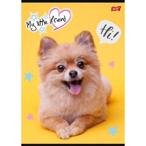 Zeszyt MY LITTLE FRIEND A4 32k. 70g krata Unipap Zeszyt MY LITTLE FRIEND A4 32k. 70g krata Unipap
