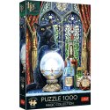 Puzzle Magic Collection Premium Plus Uczeń czarownicy 1000 el. Trefl (10898)