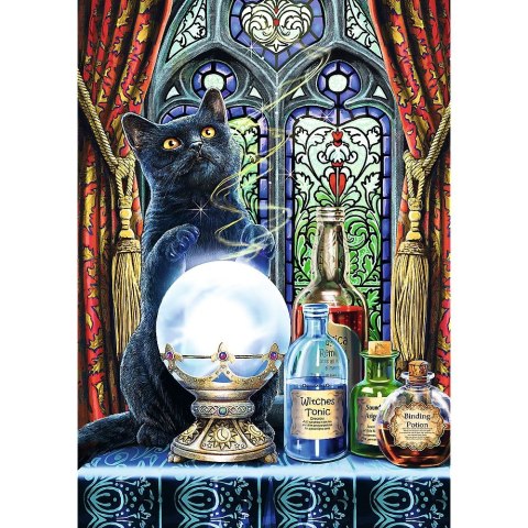 Puzzle Magic Collection Premium Plus Uczeń czarownicy 1000 el. Trefl (10898)