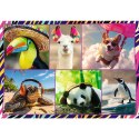 Puzzle Trefl zwierzaki 4x250 el. (13313) Puzzle Trefl zwierzaki 4x250 el. (13313)