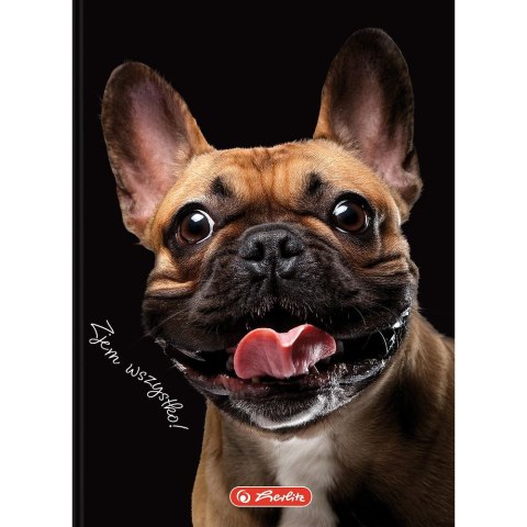 Brulion Herlitz Crazy Animal A6 80k. 70g krata (400196850) Brulion Herlitz Crazy Animal A6 80k. 70g krata (400196850)