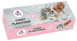 Farby plakatowe Beniamin The Sweet Pets kolor: mix 20ml 12 kolor. (2266)