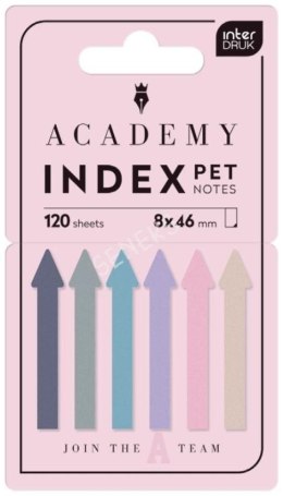 Zakładki indeksujące Interdruk ACADEMY ARROWS PASTEL 120k [mm:] 80x460 (W PODAJNIKU)