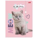 Teczka kartonowa na gumkę My Little Friend FLUFFY KITTY A4 mix 300g Unipap Teczka kartonowa na gumkę My Little Friend FLUFFY KITTY A4 mix 300g Unipap