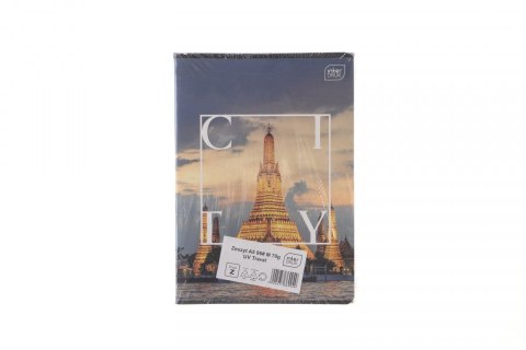 Zeszyt Interdruk travel A5 96k. 70g krata