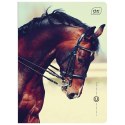 Zeszyt A5 16k. 70g trzy linie Interdruk Zeszyt A5 16k. 70g trzy linie Interdruk