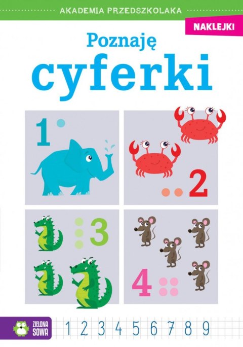 Książeczka edukacyjna Akademia przedszkolaka. Poznaję cyferki Zielona Sowa Książeczka edukacyjna Akademia przedszkolaka. Poznaję cyferki Zielona Sowa