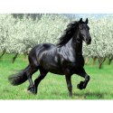 Kalendarz ścienny 13-planszowe 320mm x 470mm Lucrum (RW14) Kalendarz ścienny 13-planszowe 320mm x 470mm Lucrum (RW14)