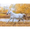 Kalendarz ścienny 13-planszowe 320mm x 470mm Lucrum (RW14) Kalendarz ścienny 13-planszowe 320mm x 470mm Lucrum (RW14)