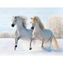 Kalendarz ścienny 13-planszowe 320mm x 470mm Lucrum (RW14) Kalendarz ścienny 13-planszowe 320mm x 470mm Lucrum (RW14)
