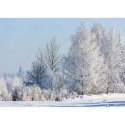 Kalendarz ścienny Pejzaże Polski rodzinny 2023 280mm x 200mm Lucrum (WL03) Kalendarz ścienny Pejzaże Polski rodzinny 2023 280mm x 200mm Lucrum (WL03)